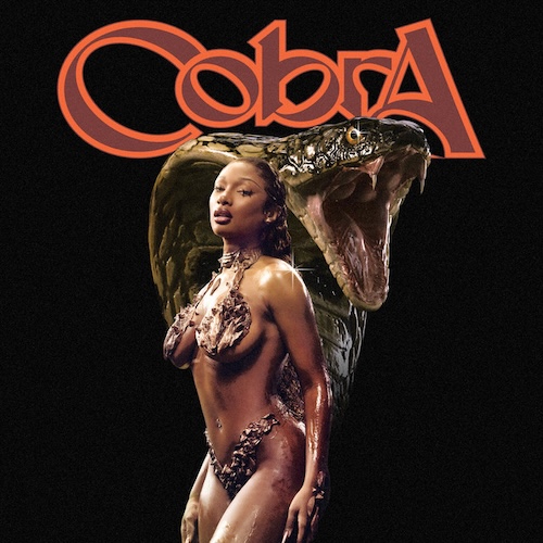 Cobra album cover